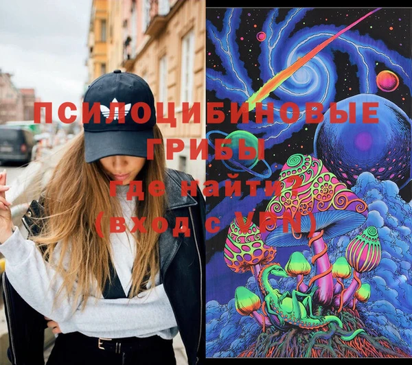 ешки Белокуриха