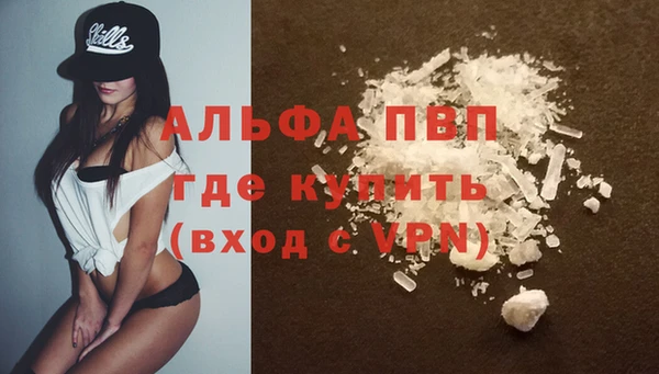 ешки Белокуриха