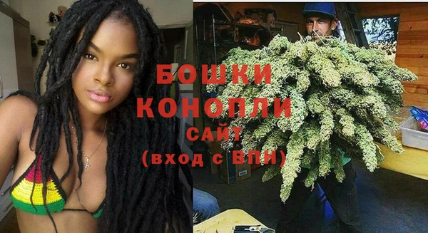 гашиш Богданович