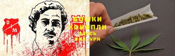 гашиш Богданович