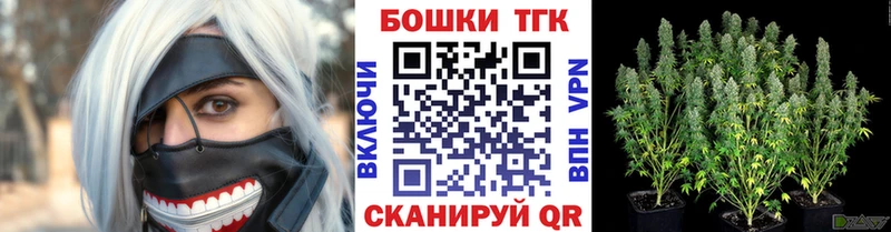 Бошки Шишки семена  Купить закладки  Мышкин 